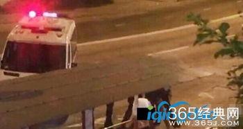 野站门视频在线观看,视频内容深度解析  第3张